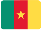Cameroon flag