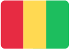 Guinea flag