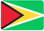 Guyana flag