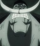 Whitebeard / Edward Newgate