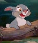 Thumper (Adult)