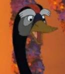 Justice of the Geese