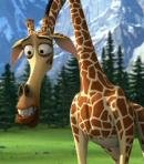 Melman