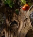 Angry Apple Tree