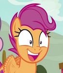 Scootaloo (Older)