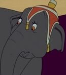 Elephant Prissy