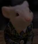 Stuart Little