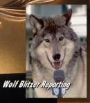 Wolf Blitzer