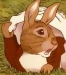 Benjamin Bunny (Adult)