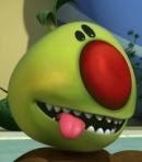 Rooney the Olive Dog