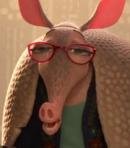 Mrs. Dharma Armadillo