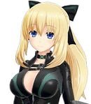 Vert / Green Heart