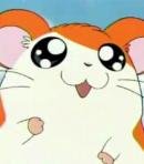 Hamtaro