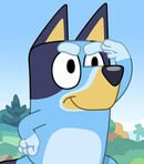 Bluey Heeler