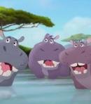 Hippos