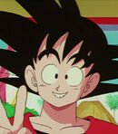 Son Goku (Adult)