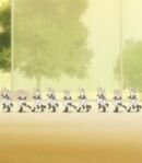 Baseball Club Members