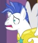 Weather Reporting Royal Guard