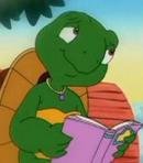 Mrs. Turtle (Young)