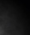 Shiho's Former Bandmates