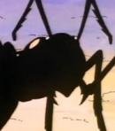 Betty, Queen of the Ants