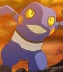Croagunk (Brock's)