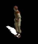 Ogden the Tavern Owner