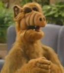 ALF