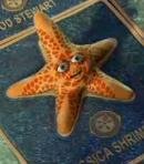 Starfish #2