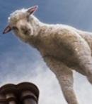 Guardians of the Future