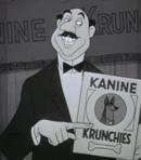 Television Announcer