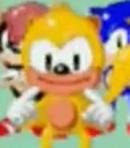 Ray the Flying Squirrel