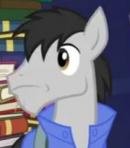Book Delivery Pony