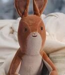 Velveteen Rabbit