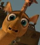 Bobby The Dik-Dik