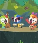 Macaw Jazz Trio