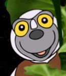 Zoboomafoo