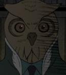 Main Owl Man