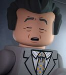 Donald Gennaro / Lawyer