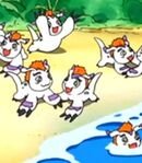 Gomamon Islanders