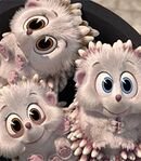 Kimmy, Earl and Timmy Hedgie