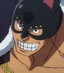 Beast Pirate Gifters