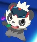 Pancham (Serena's)
