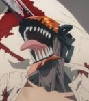 Denji / Chainsaw Man