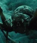 Mirkwood Spiders