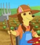 Farmer Dog