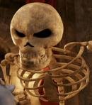 Skeleton Husband