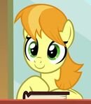 Receptionist Pony