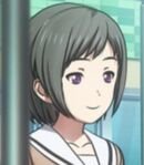 Cultural Festival Receptionist