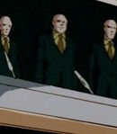 Loli 28356, Warera 25258, & Konda 88333